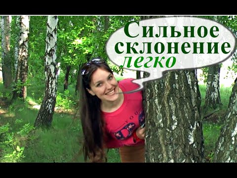 Сильное склонение прилагательных. Уроки немецкого. Немецкий язык.