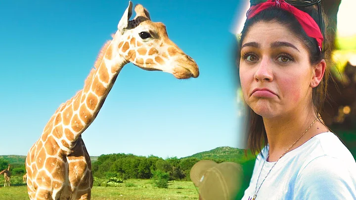 WE ADOPTED A GIRAFFE! w/ Andrea Russett & Corey Sc...