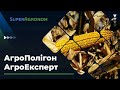 Кукурудза, озимі зернові та соняшник: підсумки сезону на Вінниччині / СуперАгроном