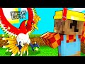 HO CATTURATO HO-OH LEGGENDARIO NELLA PIXELMON SU MINECRAFT ITA!!