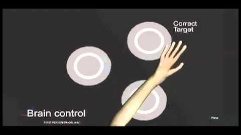 Monkeys Move and Feel Virtual Objects Using Their Brains BionicMe