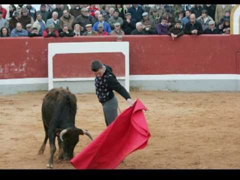 Bolsn Taurino Ciudad Rodrigo 2011- Prueba del sbado 12 de Febrero