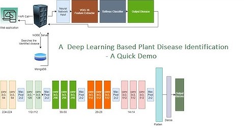 Deep Learning Based Plant Disease Identification (30 Plant Diseases)