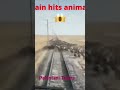 Animal Hit With Train Shorts Animal Hit With Train Shorts