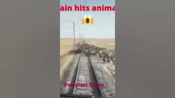 Animal hit with Train #shorts