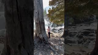 Snow melt putting on a roaring show in Tahoe! Let it flow!