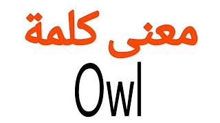 معنى كلمة Owl | الصحيح لكلمة Owl | المعنى العربي ل Owl | كيف تكتب كلمة Owl