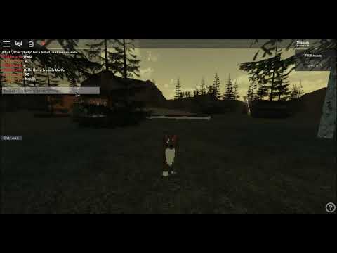 This game needs more attention!