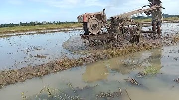 The process of grinding rice fields using a tractor machine part3