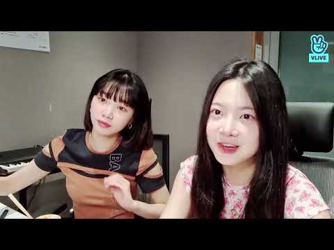 [ENG/INDO] Finally... | LE SSERAFIM VLIVE