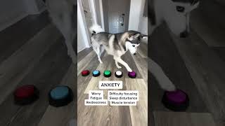 Anxiety rings in pinned comment💍❤️ #anxiety #anxietyrelief #depression #anxious #anxietytips