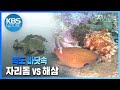 생명의 보고 ‘독도’! 환경스페셜 ‘독도는 살아있다’ / KBS 20100714 방송