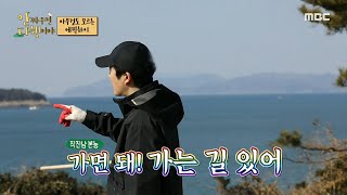 [안싸우면 다행이야] “가면 돼! 가는 길 있어” 투컷의 직진 본능...★, MBC 220307 방송