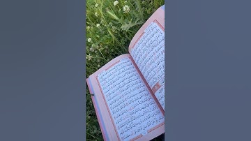  قال رسول الله صلى الله عليه وسلم: من قرأ سورة الكهف في يوم الجمعة سطع له نور من تحت قدمه إلى عنان