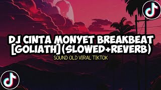 DJ CINTA MONYET BREAKBEAT [GOLIATH] (SLOWED+REVERB) | SOUND OLD VIRAL TIKTOK
