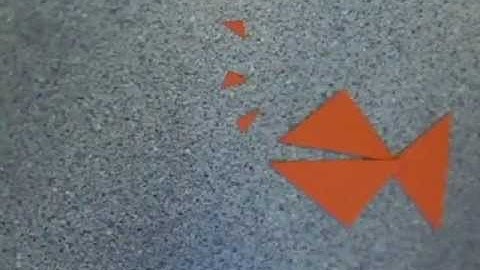 Notes on a triangle by Lois and Ffion