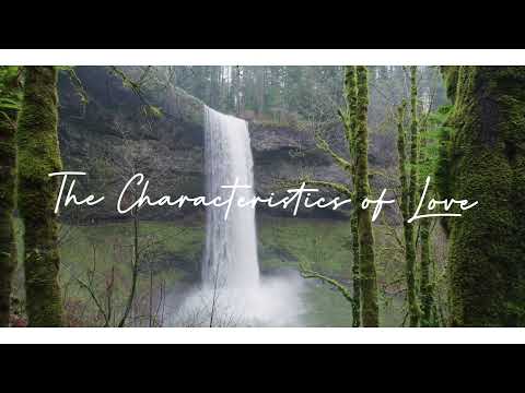THE CHARACTERISTICS OF LOVE