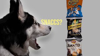 Husky reviews Chips to see Which Chip is the best chip by Onyx The Husky 44 views 2 years ago 5 minutes, 20 seconds