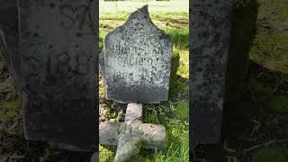 random grave - Simon Ivan Sachkov 1886-1926 🪦 #cemetery #gravesite