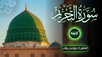 تلاوة سورة التحريم كاملة | مؤمن وائل | Momen Wael