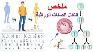 ملخص انتقال الصفات الوراثية علوم الطبيعة و الحياة الرابعة متوسط  جزء1