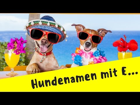 ► Hundenamen mit Buchstaben E ❤