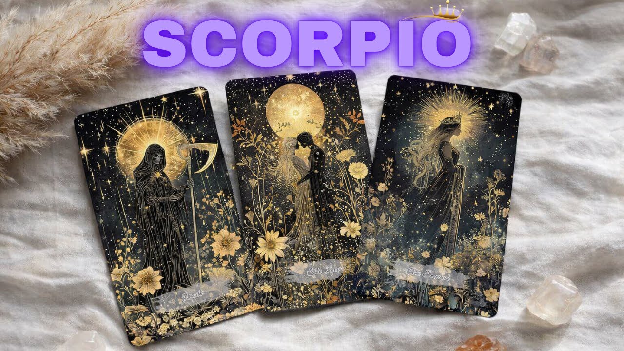 SCORPIO ❤️✨, 💘This Person is So in Love With You 😍 & going to admit it in Three days..🥺🫶🏻 MARCH