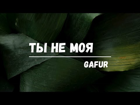 Gafur - Ты не моя (Lyric video)