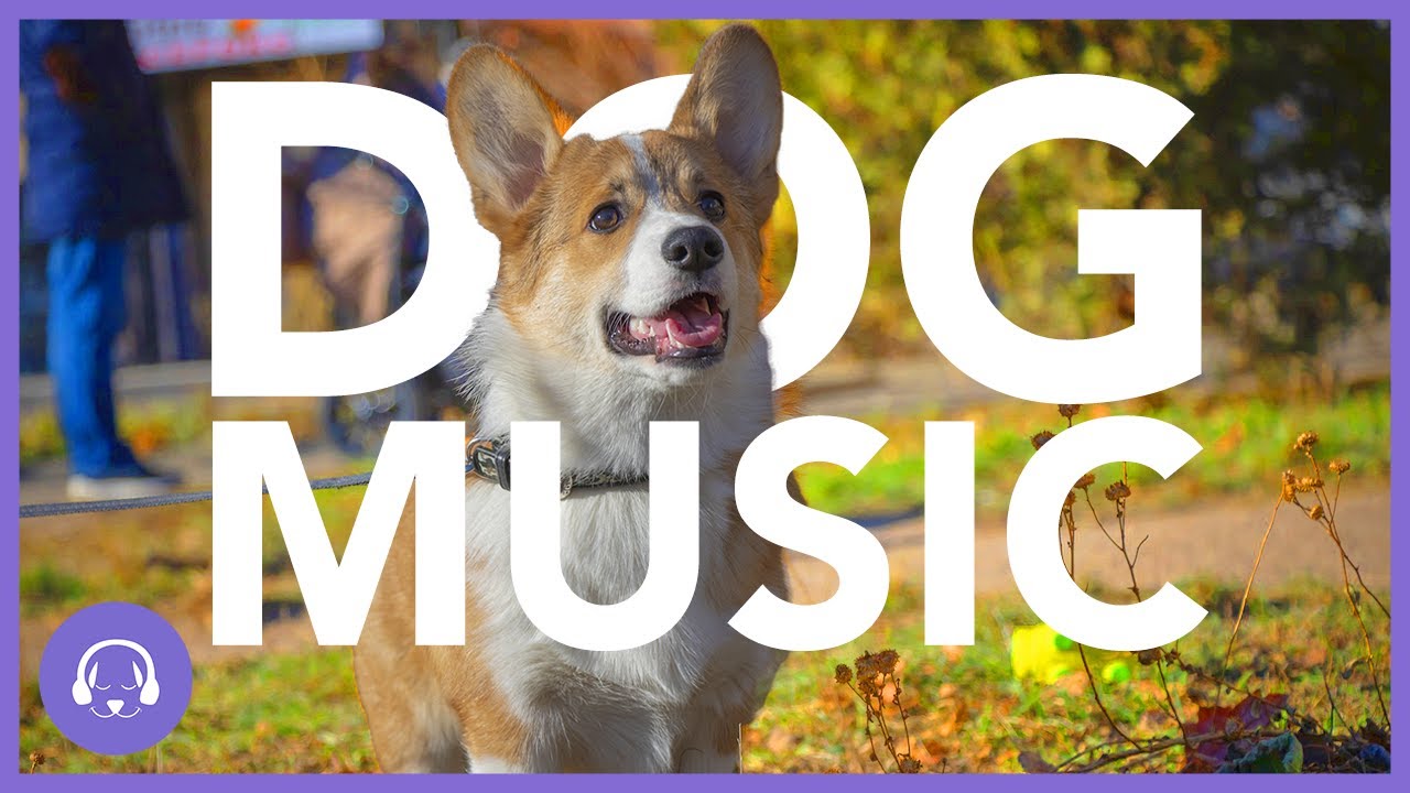 dog music sounds for dogs