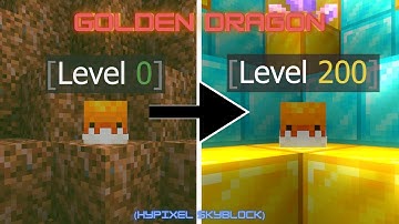 Best Ways To Level the GOLDEN Dragon || Hypixel Skyblock