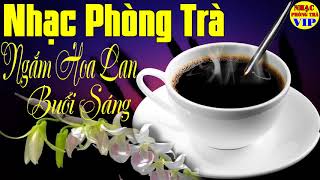 Nhạc Phòng Trà VIP 2020 | Hòa Tấu Guitar Không Lời | Đẳng Cấp Nhạc Không Lời | Xuân Khỏe