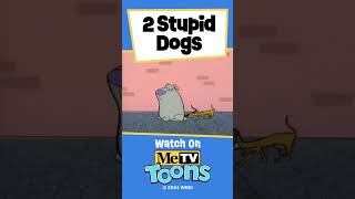 2 Stupid Dogs