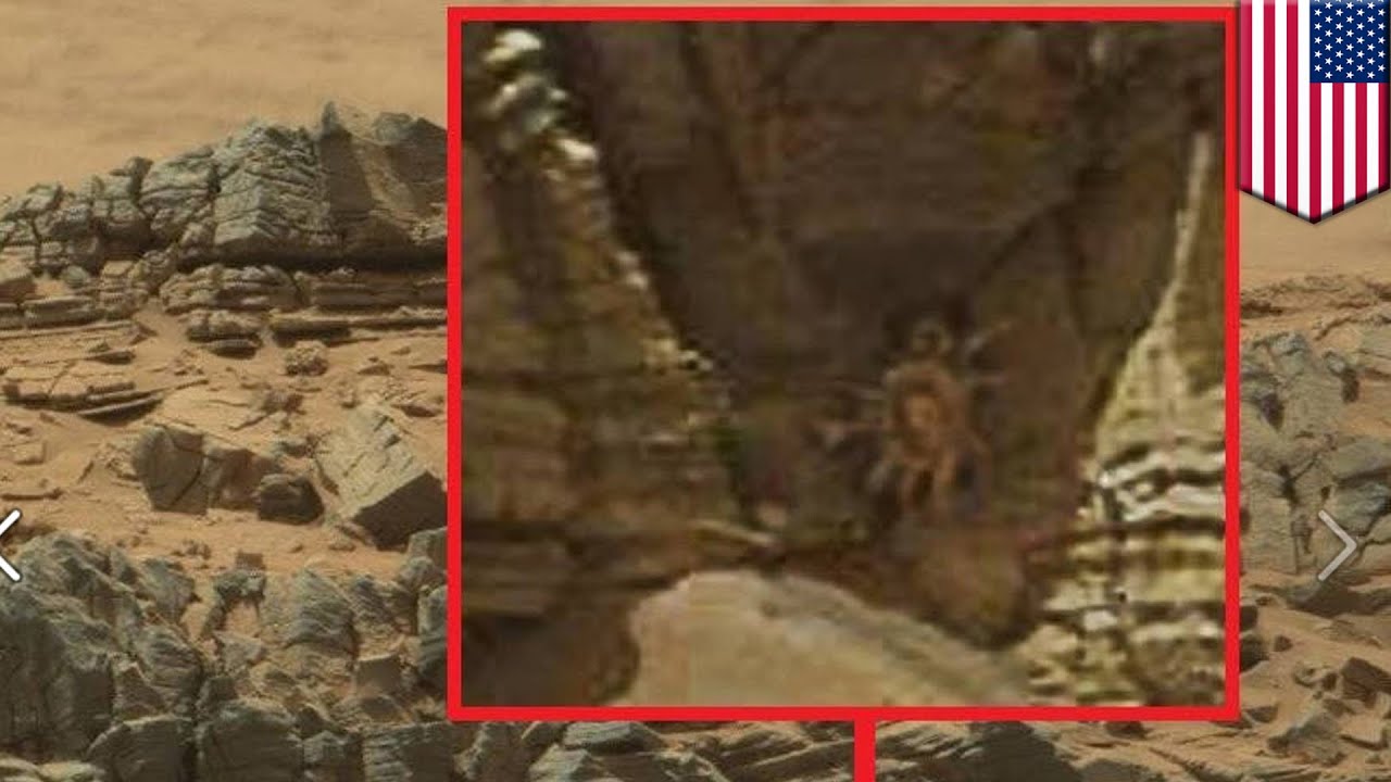 Life on Mars? NASA rover spots crab-like 'Alien facehugger' on surface of  Red Planet - TomoNews - YouTube