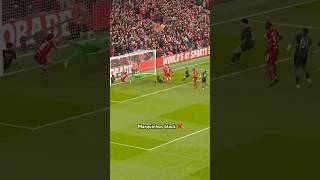 Even Van Dijk Was Impressed