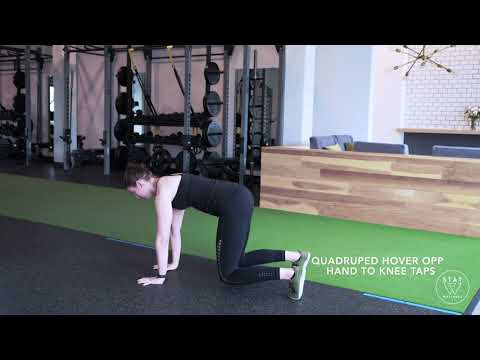 QUADRUPED HOVER OPP HAND TO KNEE TAPS