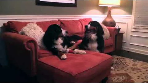 Maggie & Molly