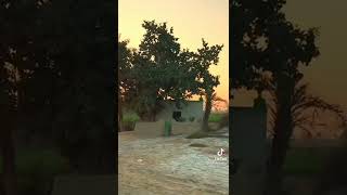 Darood Shareef #islam #islamicvideo #shorts