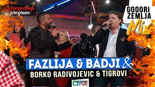 FAZLIJA & BADJI - GORI ZEMLJA MIX | 2022 | UZIVO | (UZ ORK.BORKO RADIVOJEVIC & TIGROVI)OTV VALENTINO