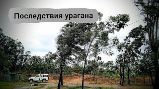 Последствия урагана Батсирай. Снято 6 февраля 2022.