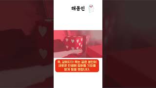 해몽인 : 강아지가 죽는 꿈해몽 #꿈해몽 #꿈해석 #꿈 #해몽 #웃긴영상 #웃긴짤 #유머 #이슈 #지식 #강…
