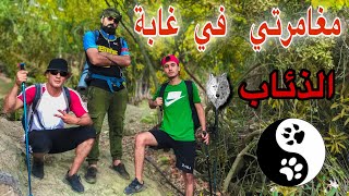 مغامرة في غابة الذئاب _ Wolt forest