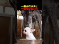 絶対に後ろは見ないでください