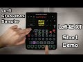 Lofi-12 XT Short Demo