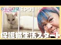 【保護猫】ルビーちゃんが家にやってきた!-ルビー日記EP01-【坂上どうぶつ王国】