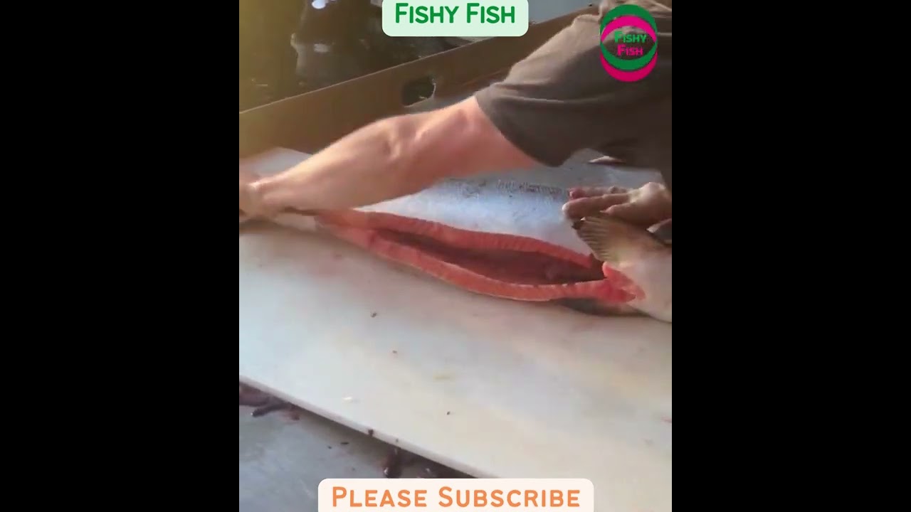 Fastest Salmon Fish Cleaning