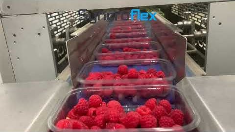 Packaging Automation SyncroFlex