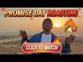 Jhoothe Wade Aur Promise Day: Ultimate Roast || Dostified
