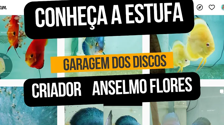 CONHEA A ESTUFA DE CRIAO DE DISCOS  ANSELMO FLORES