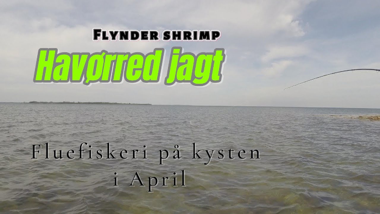 Jagten på OVERSPRINGEREN S1-E37