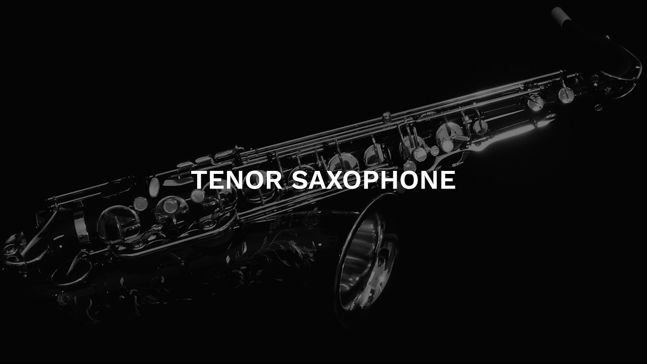 Studio Solo Saxophone - 8Dio Tenor Saxophone for Kontakt VST/AU